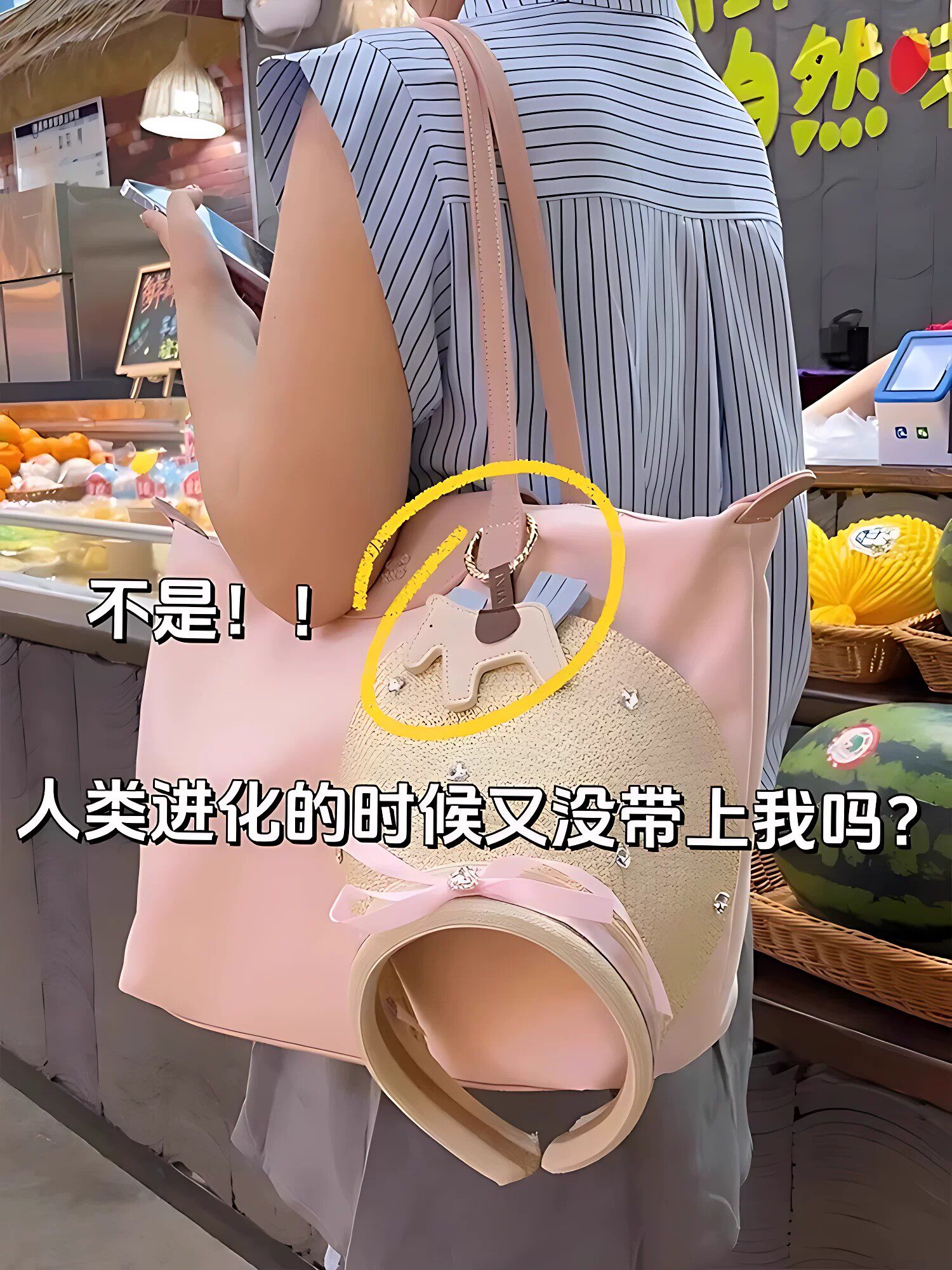 帽夹磁吸帽子夹防掉便携旅行收纳挂饰挂包帽夹神器户外防丢夹帽夹 detail image 2