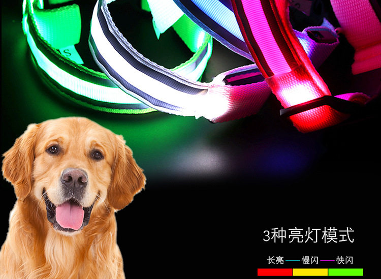 狗狗发光项圈充电可调节大小中型犬宠物发光灯夜间遛狗神器夜光灯 detail image 1