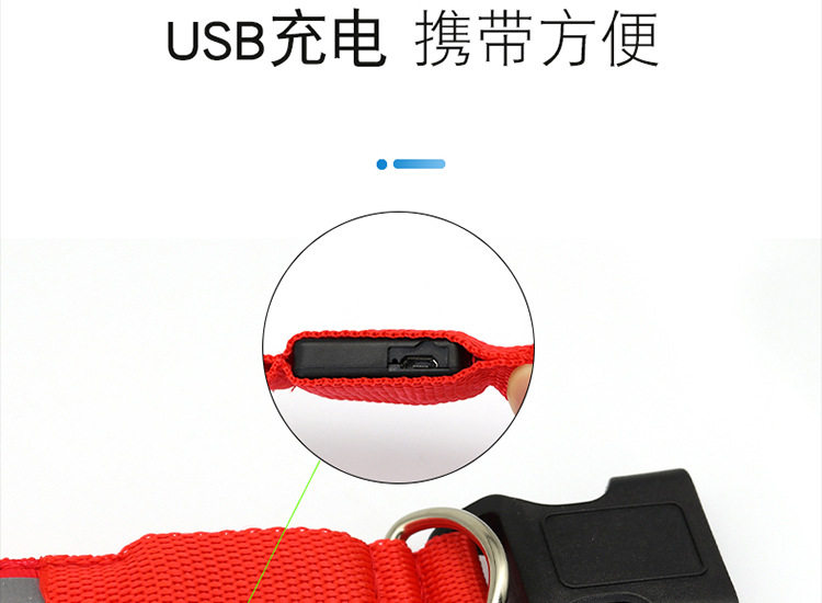 狗狗发光项圈充电可调节大小中型犬宠物发光灯夜间遛狗神器夜光灯 detail image 10