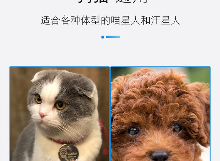狗狗发光项圈充电可调节大小中型犬宠物发光灯夜间遛狗神器夜光灯 detail image 12