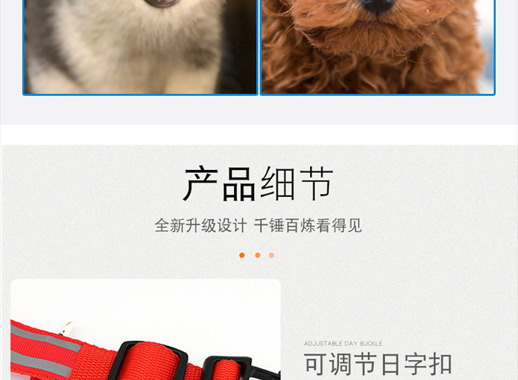 狗狗发光项圈充电可调节大小中型犬宠物发光灯夜间遛狗神器夜光灯 detail image 13