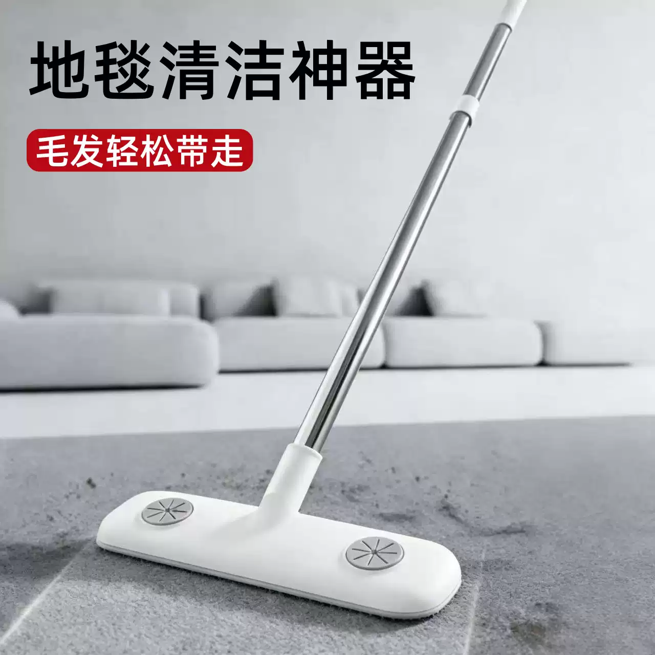 réutilisable animal Hair Scraper